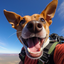 Konstantin Markovich's avatar